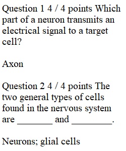 Week 11 Quiz 8